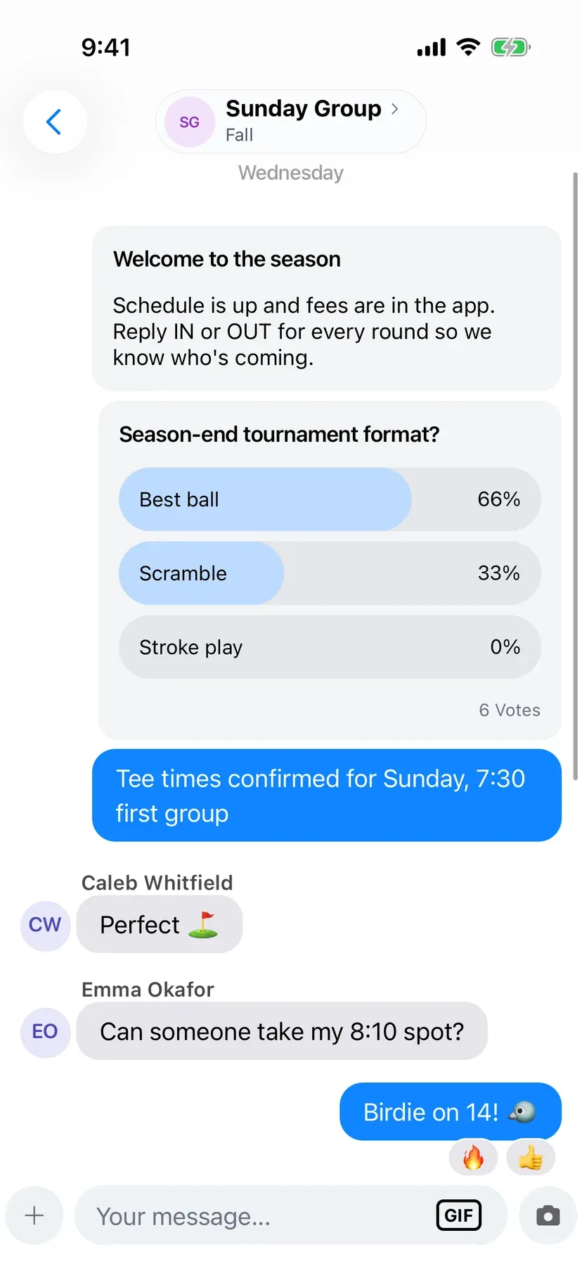 BenchApp team poll with votes